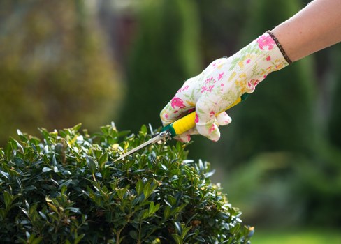 Tree surgeons recycling green waste in Harrow