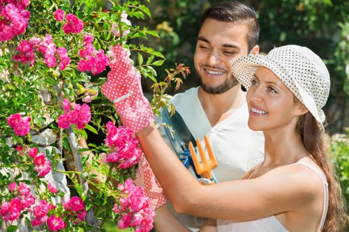 Commercial hedge maintenance for a business premises in Harrow
