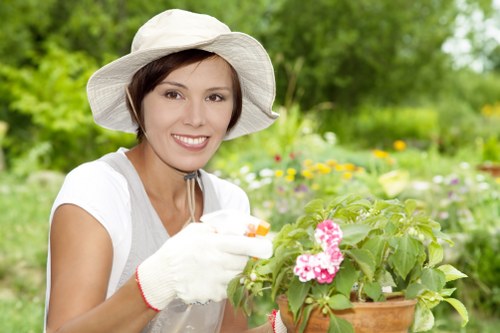 Healthy landscaped garden improved by expert tree care services in Harrow