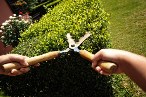 Local tree surgery team carrying out pruning in Harrow