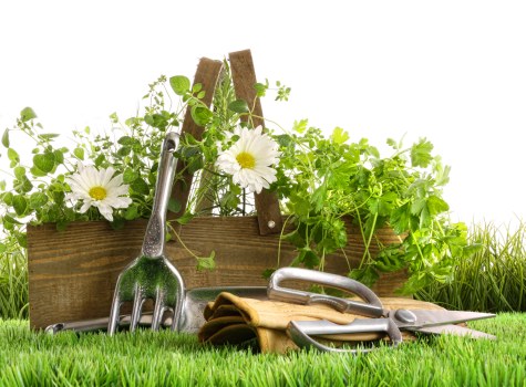Harrow tree removal service for tight-access homes and commercial sites